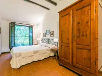Bardeggiano - Caterina 8 (Col243)