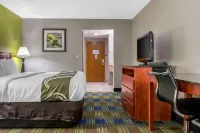 Quality Inn & Suites Bedford West