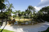 Arenal Paraiso Resort Spa & Thermo Mineral Hot Springs - Hot Springs