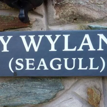Y Wylan