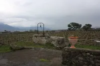 Etna Wine Azienda Agrituristica Hotels in Bronte