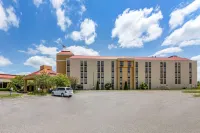 Comfort Inn Hotels in Alliance