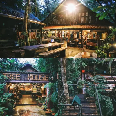 Khao Sok Tree House Resort - Boutique