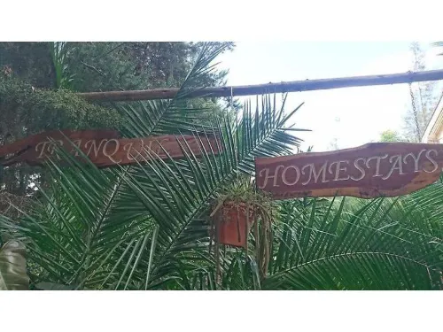 Tranquil Homestay Hotels in Naro Moru