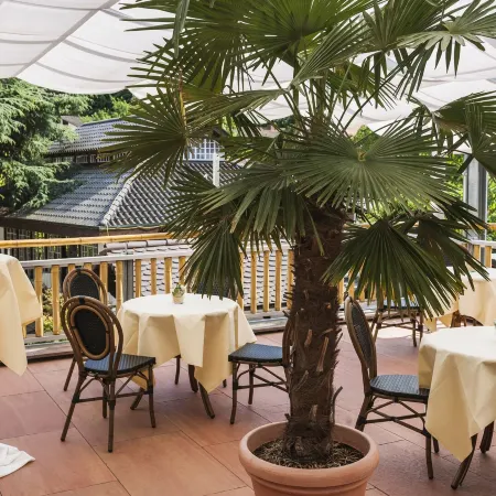 Wellness- Und Gartenhotel Heusser