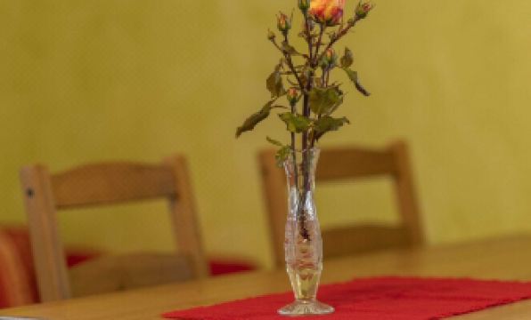 Cheerful Apartment Near Forest in Tännesberg - Housity