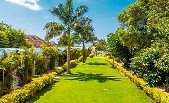a lush green lawn with a palm tree and other plants , surrounded by trees and bushes at Travellers Beach Resort