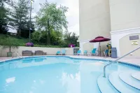 Hampton Inn Salem East-Electric Road - Pools