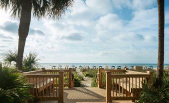 SpringHill Suites Myrtle Beach Oceanfront