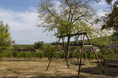 Hôtel Restaurant le Kastelberg, the Originals Boutique