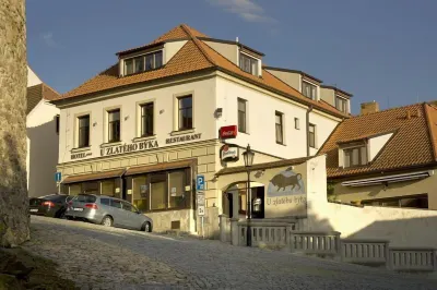 Hotel U Zlateho byka Hotels in 