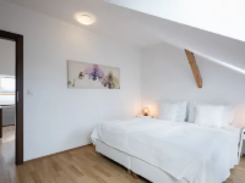 Pytloun Apartments Liberec Hoteles en Liberec