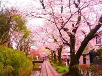 Rinn Kyoto Gion Shinbashi Отели рядом с достопримечательностью «Маруяма Парк»