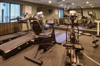 Holiday Inn Express & Suites YOUNGSTOWN (N. LIMA/BOARDMAN) by IHG