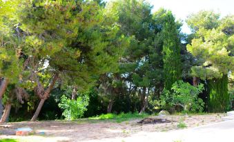 Villa Punta Pispisa - Housity