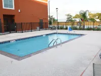 Best Western Plus New Orleans Airport Hotel - Pools