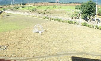 Flying in Sunny Day B&B