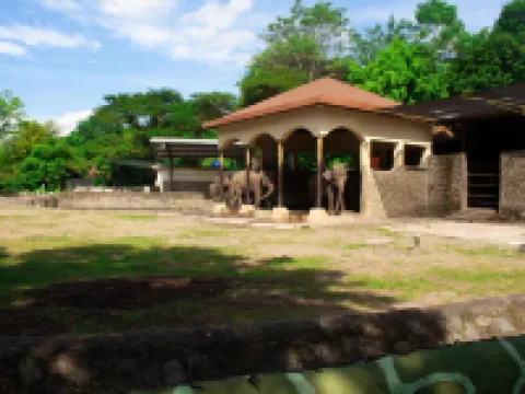 Bhumi Hostel Hotels in Kotagede