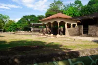 Spacious Family-Friendly Villa with Swimming Pool