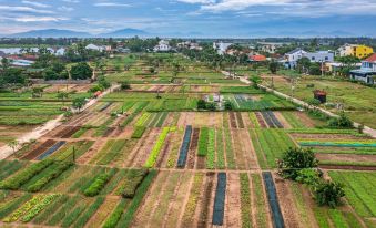 An Bang Beach Nature Homestay