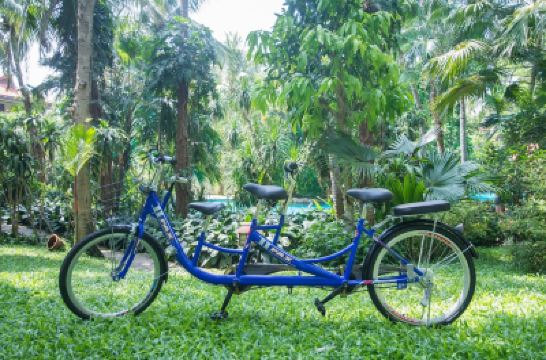 庭 フラマ リゾート ダナンの写真