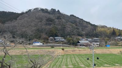 ホテル周辺 旅館 清少納言の写真