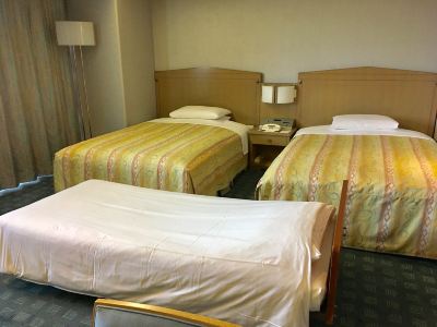 ゲストルーム(ご利用人数3名)(浴室) ホテル・ヘリテイジ飯能sta.の写真