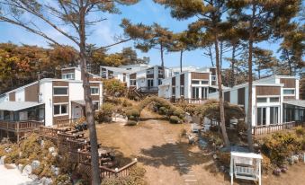 Taean Solmi Label Pension
