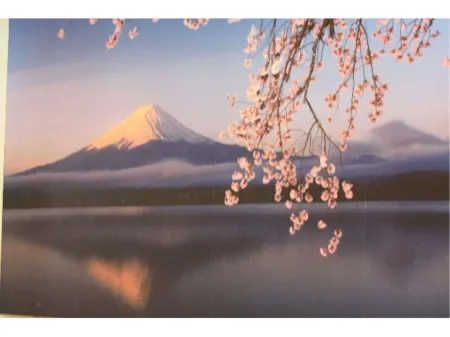 Fuji Midori-No Kyukamura Отели рядом с достопримечательностью «Narusawa Ice Cave»