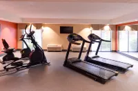 Holiday Inn Express CLEARWATER EAST - ICOT CENTER by IHG - Gym