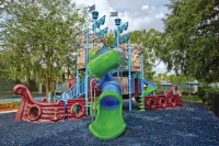 클럽 위덤 스타 아일랜드