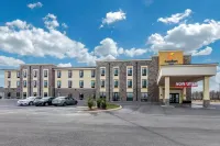 Comfort Inn White House Hotels in White House
