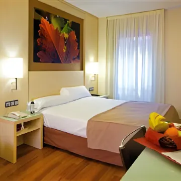 Hotel Condes de Haro