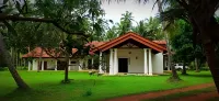 Coco Villa Peach Tree