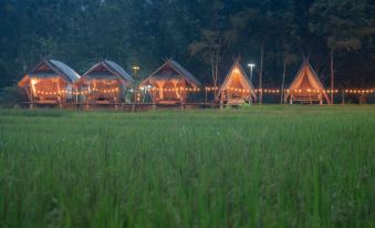 Paddy Fields Haven - Natures Nest