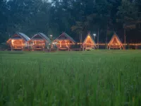 Paddy Fields Haven - Natures Nest