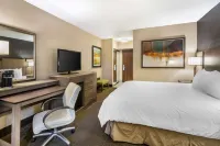 Best Western Plus Cotton Tree Inn