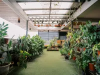 อะลิเรีย เบดแอนด์เบรคฟาสต์ โรงแรมใกล้St. Joseph The Worker Cathedral