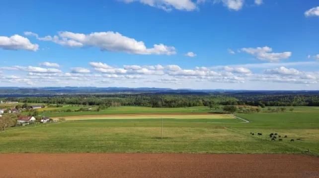 Ruhige und Sonnige Ferienwohnung mit Eigener Terrasse und Aussicht in die Natur 蘇爾茨酒店
