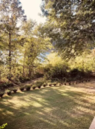 Lakeside house with fireplace, deck, and a fenced backyard with firepit.