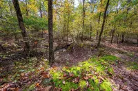 Charming Cabin In Broken Bow