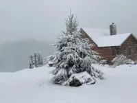 Starry Nights Lodge, Beautiful Views, Hot Tub, Firepit, 15 mins from Boone Elk Knob State Park附近的飯店
