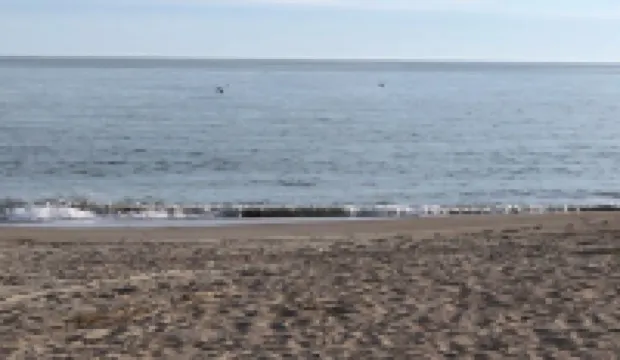 2 Family House Steps from Beach; 2 Master Bedrooms; Beach and Bike Equipment too