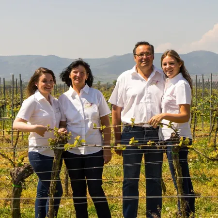 Urlaub in Einem Weingut. Hautnah die Arbeit Eines Winzers Miterleben