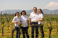 Urlaub in Einem Weingut. Hautnah die Arbeit Eines Winzers Miterleben