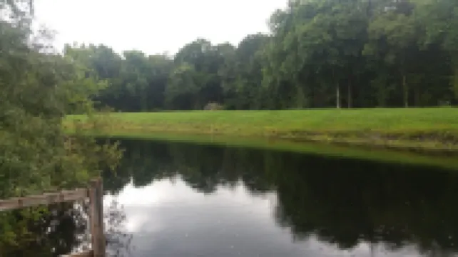 Your Ultimate Weekend Destination, la Fish Camp.