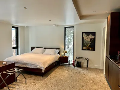 New Studio Apartment near Solitude on Big Cottonwood Creek