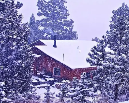 Fawn Haven Cabin Bailey Colorado Huge Deck with View and 1 Acre Fenced Dog Run Hotels in Bailey