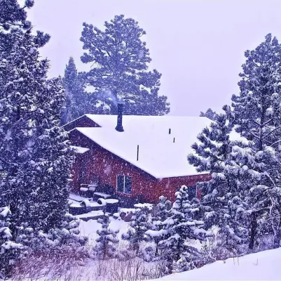 Fawn Haven Cabin Bailey Colorado Huge Deck with View and 1 Acre Fenced Dog Run