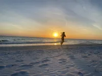 Walk to Siesta Key Beach & Village – Cozy 2Br , 1BA First Floor - Villas